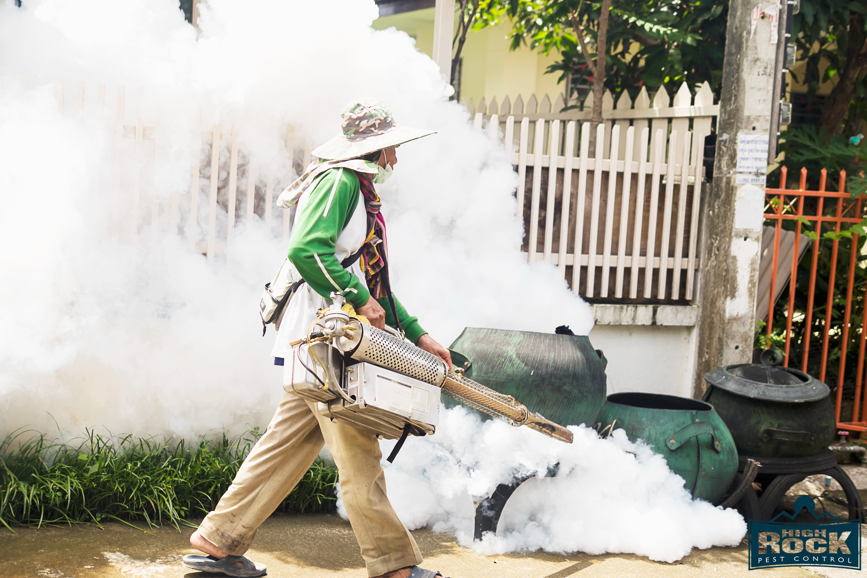 How to Prevent Termite Infestations in Cleveland Fences